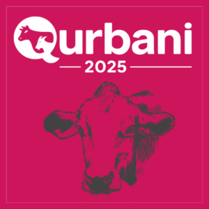 Cow Qurbani (Frozen)