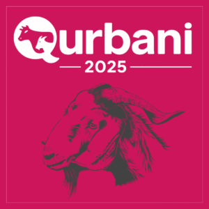 Goat Qurbani – Group B